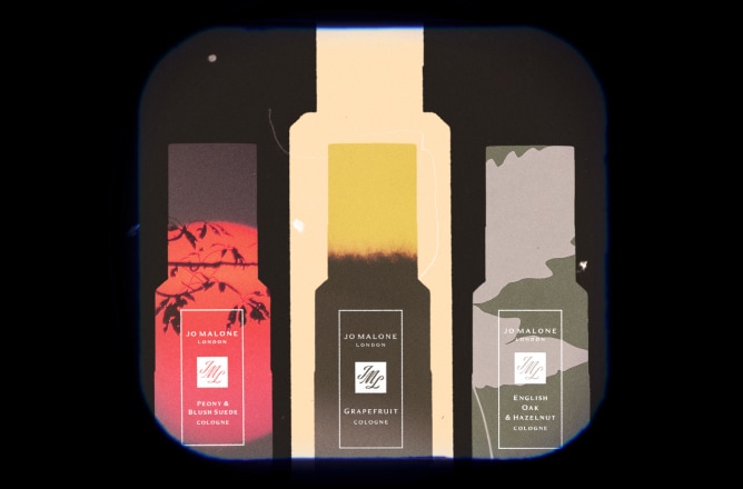 /scent-layering